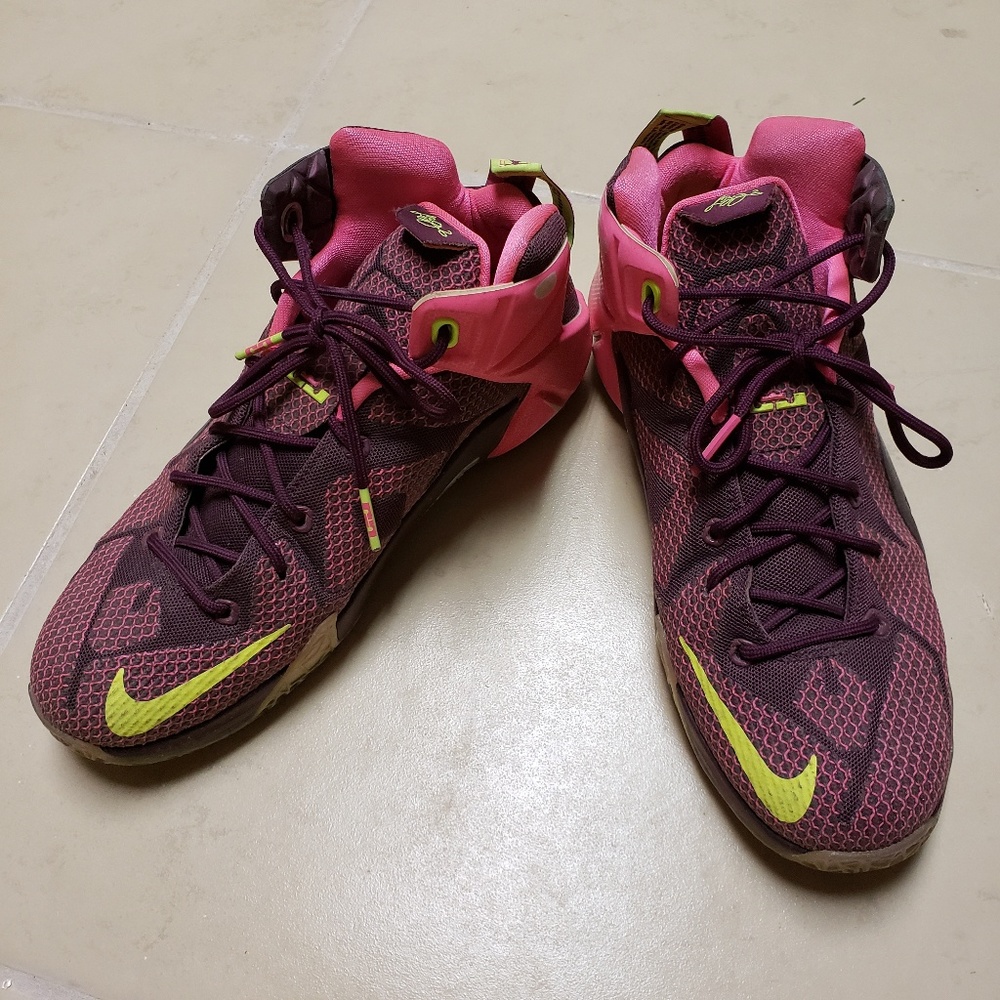 NIKE Lebron 12 Double Helix Sneakers
